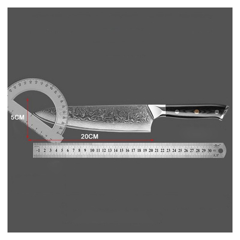 Professional Damascus Knife High Carbon Ultra Sharp VG-10 Damascus Stainless Steel 67 Layers Kitchen图5
