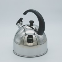 Stainless steel kettle