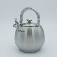 Stainless steel kettle