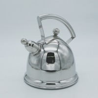 Stainless steel kettle