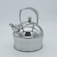 Stainless steel kettle