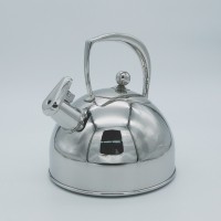 Stainless steel kettle