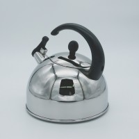 Stainless steel kettle