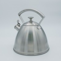 Stainless steel kettle