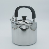 Stainless steel kettle