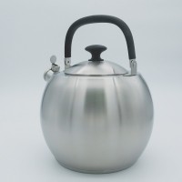 Stainless steel kettle