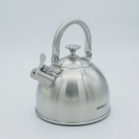 Stainless steel kettle