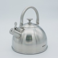 Stainless steel kettle