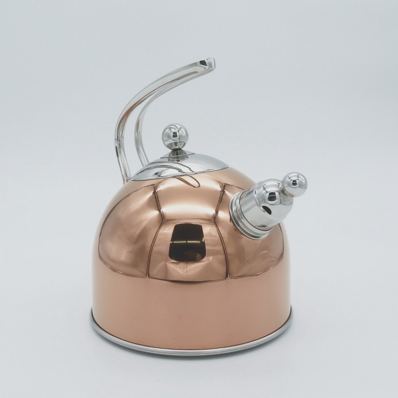 Stainless steel kettle图3