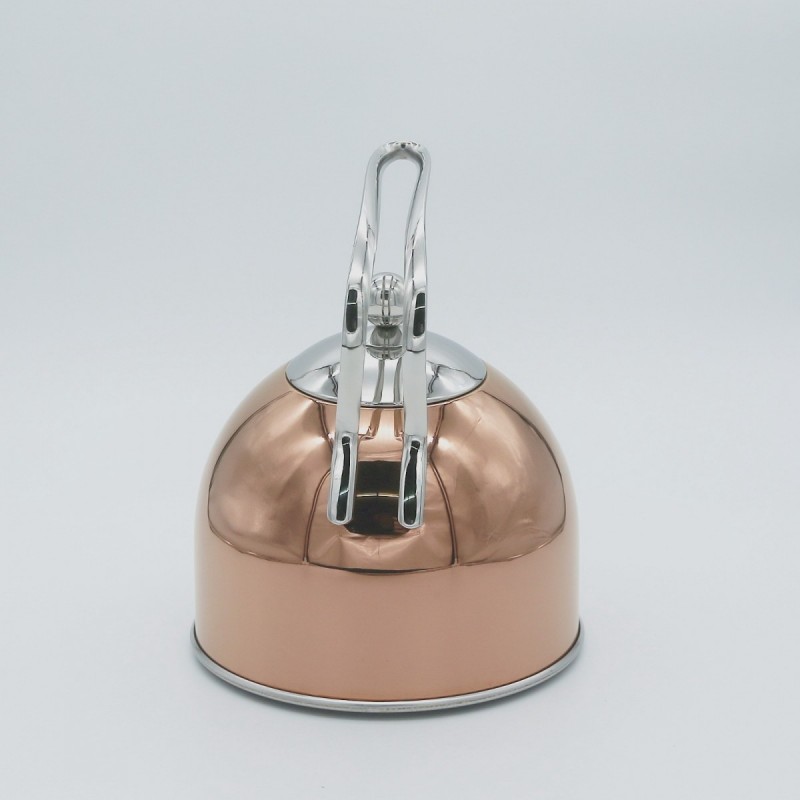 Stainless steel kettle图5