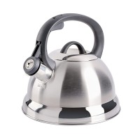 Wholesale Brushed Satin 2L Stainless Steel Whistling Tea Kettle