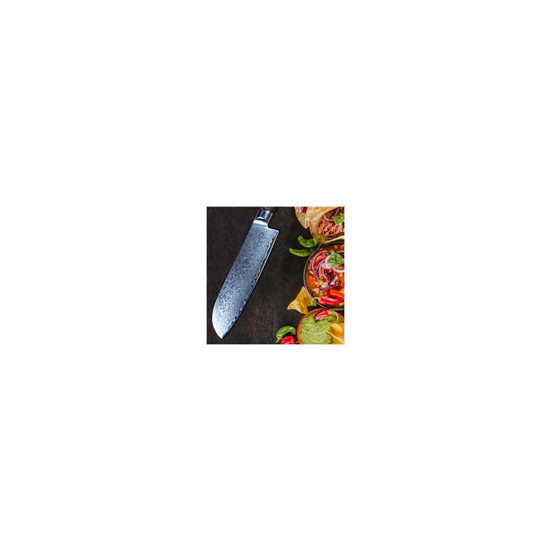YLGR6006-Professional Damascus kitchen Knife图2