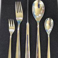 High quality 5pcs sets of dinner cutlery