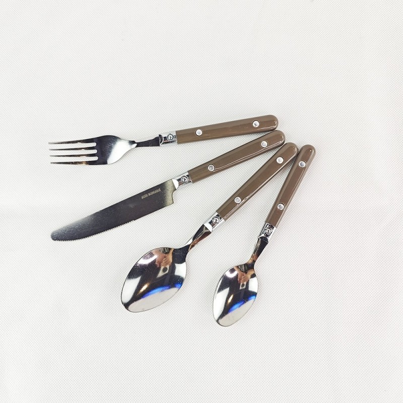 304 Stainless Steel Spoon and Fork Adult Spoon and Fork Beautiful Color Tableware Main Dining Spoon 图2