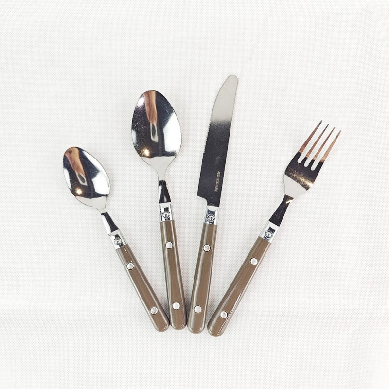 304 Stainless Steel Spoon and Fork Adult Spoon and Fork Beautiful Color Tableware Main Dining Spoon 图4