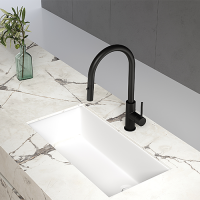 Kitchen Building Material - Faucet Type 00A