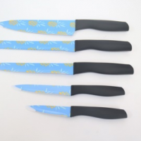 5-piece Colourful Kitchen Knife Set Business Gift Knife Set Stainless Steel 3CR13 Made Customization