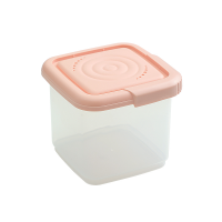 600ml Plastic Fruit Storage Box Plastic Cake Box With Lid Food Preservational Storage Container Kitc